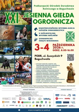 XXI Jesienna Giełda Ogrodnicza i Święto Winobrania w Boguchwale